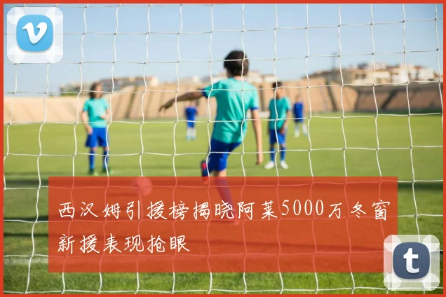 西汉姆引援榜揭晓阿莱5000万冬窗新援表现抢眼
